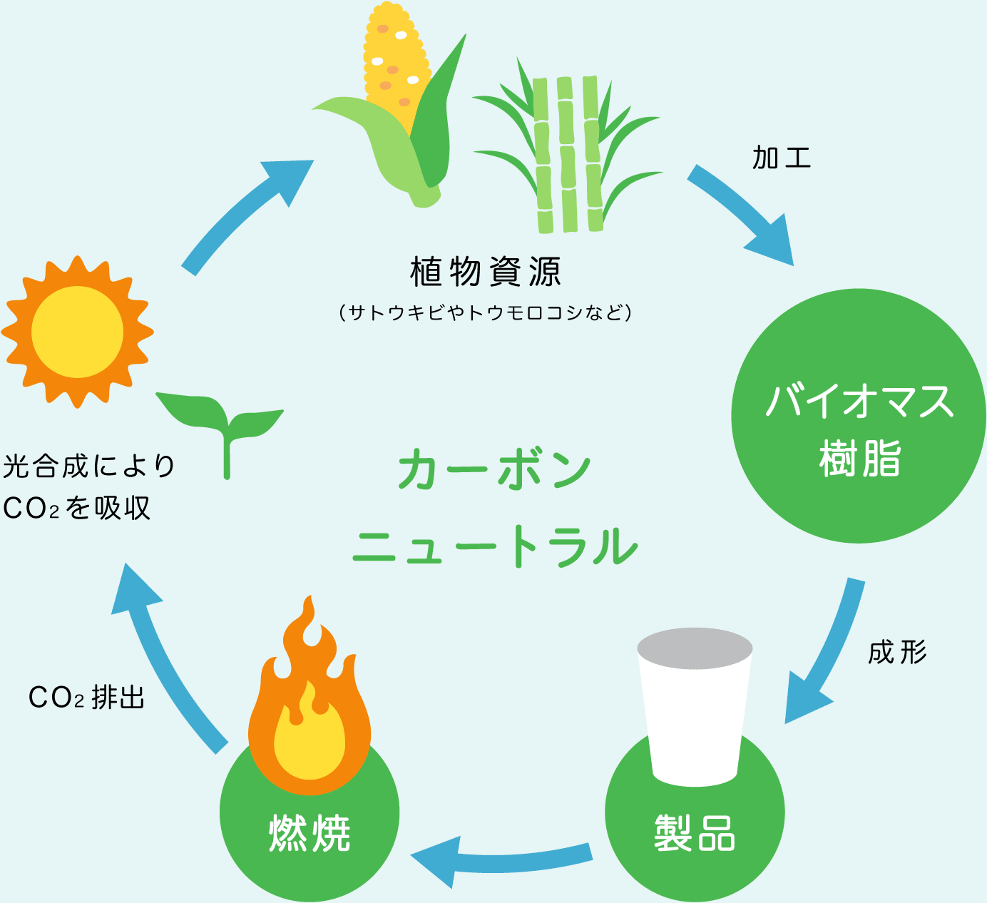 プラスチックの環境循環